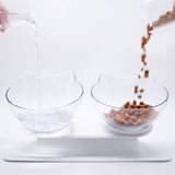 Anti-vomiting Orthopedic Pet Bowl